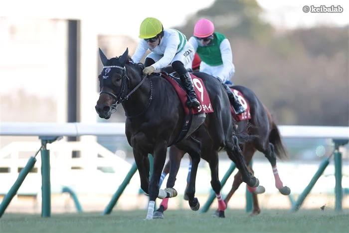 競馬ラボ on X: 