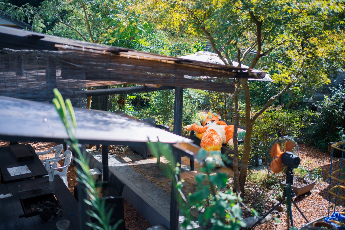 メルバ tweet media