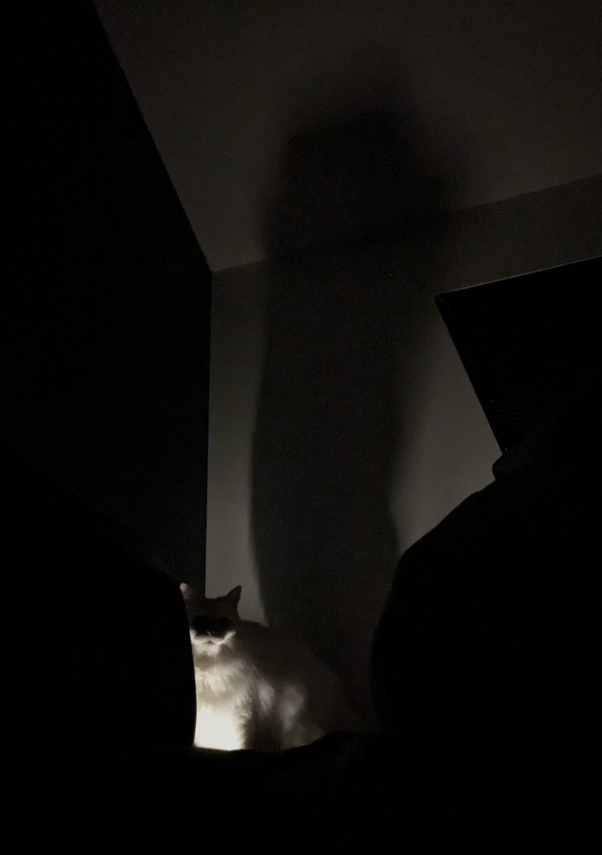 磯山 Ｑ太郎 tweet media