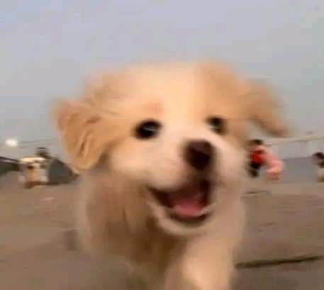 임뀨니 tweet media