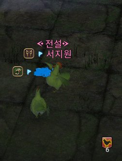 서지원 tweet media