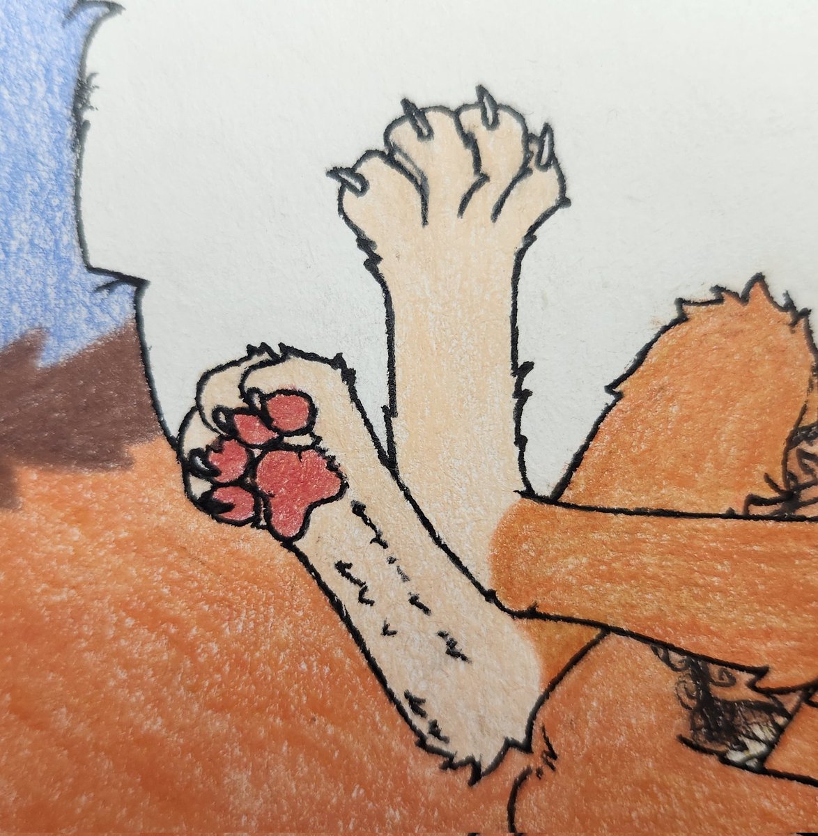 Kitty paws because I can't post the full thing again