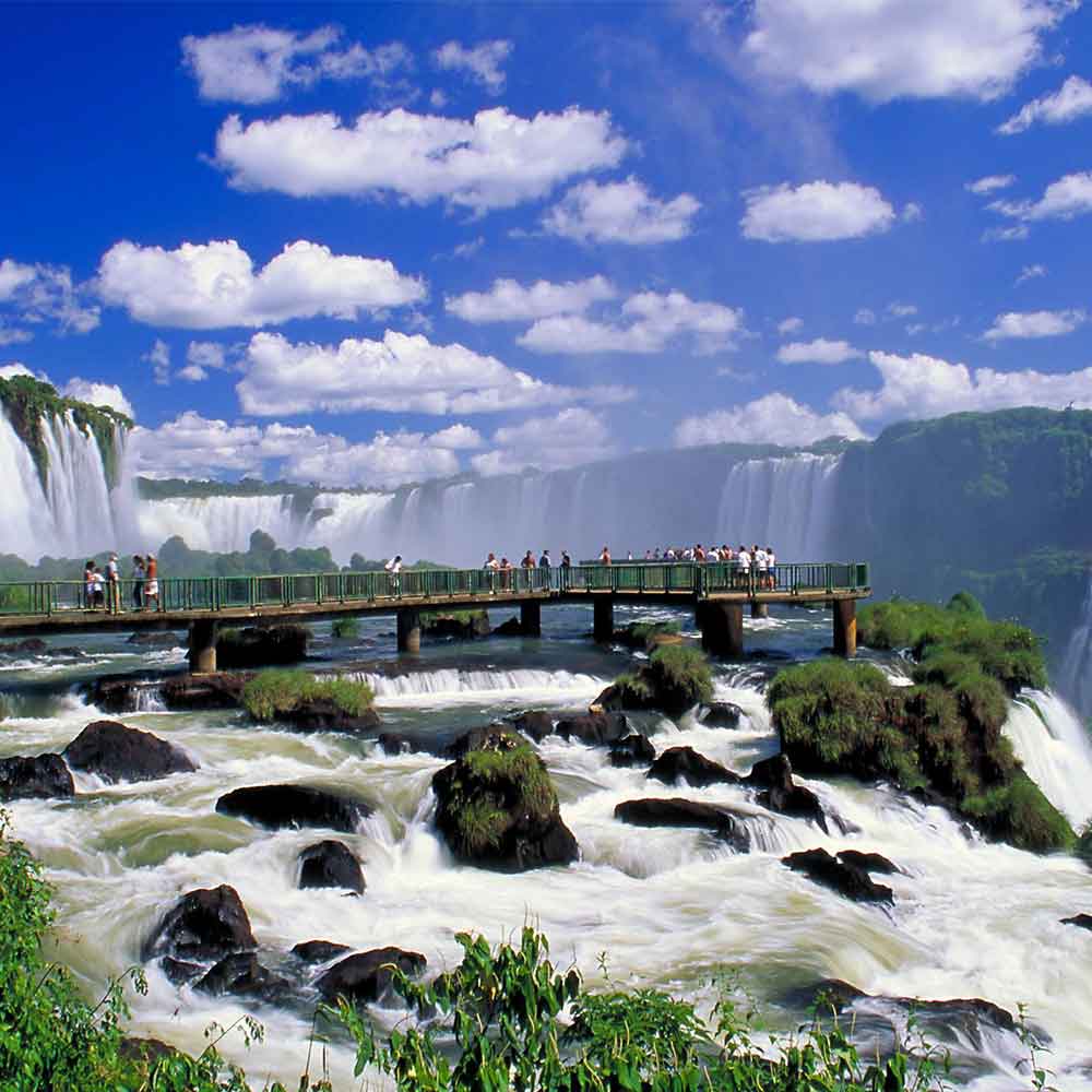 Léo Scar tweet media