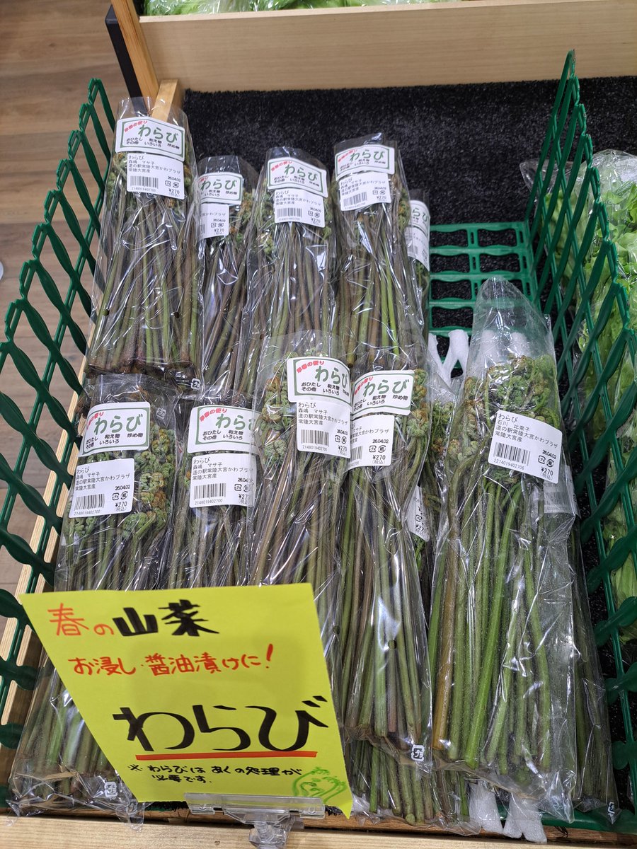 早くも山菜が登場!わらび。 早々に完売となりますので、お買い求め 早くも山菜が登場!わらび。 早々に完売となりますので、お買い求め