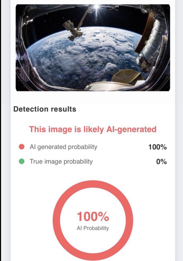 Q's Based Cats tweet media