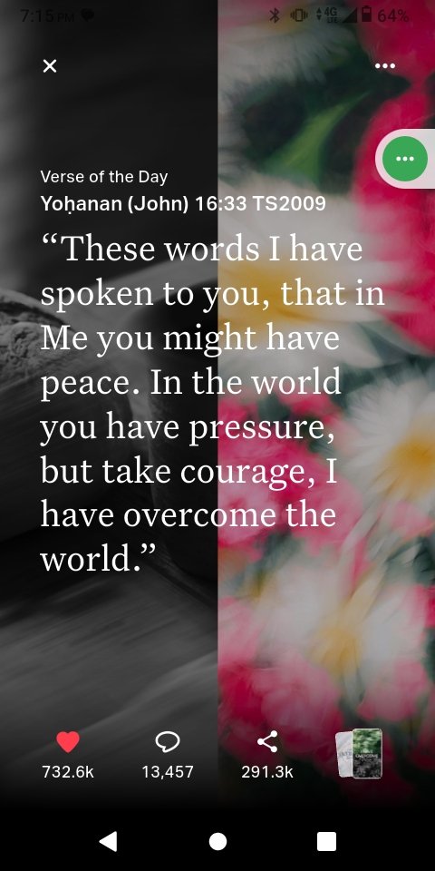 YHWHfirst tweet media