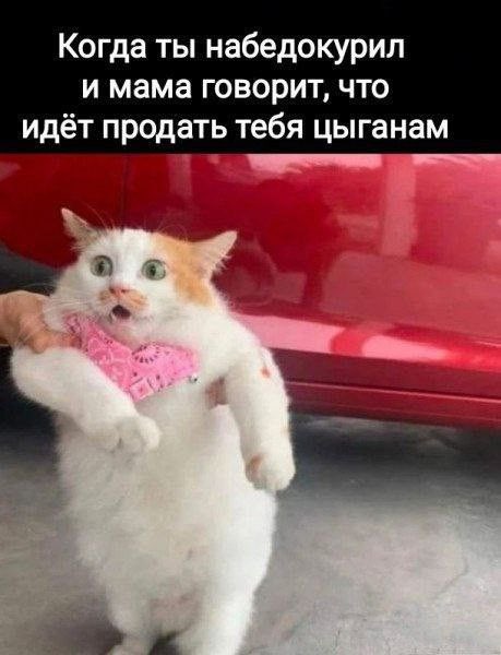 Сергей tweet media