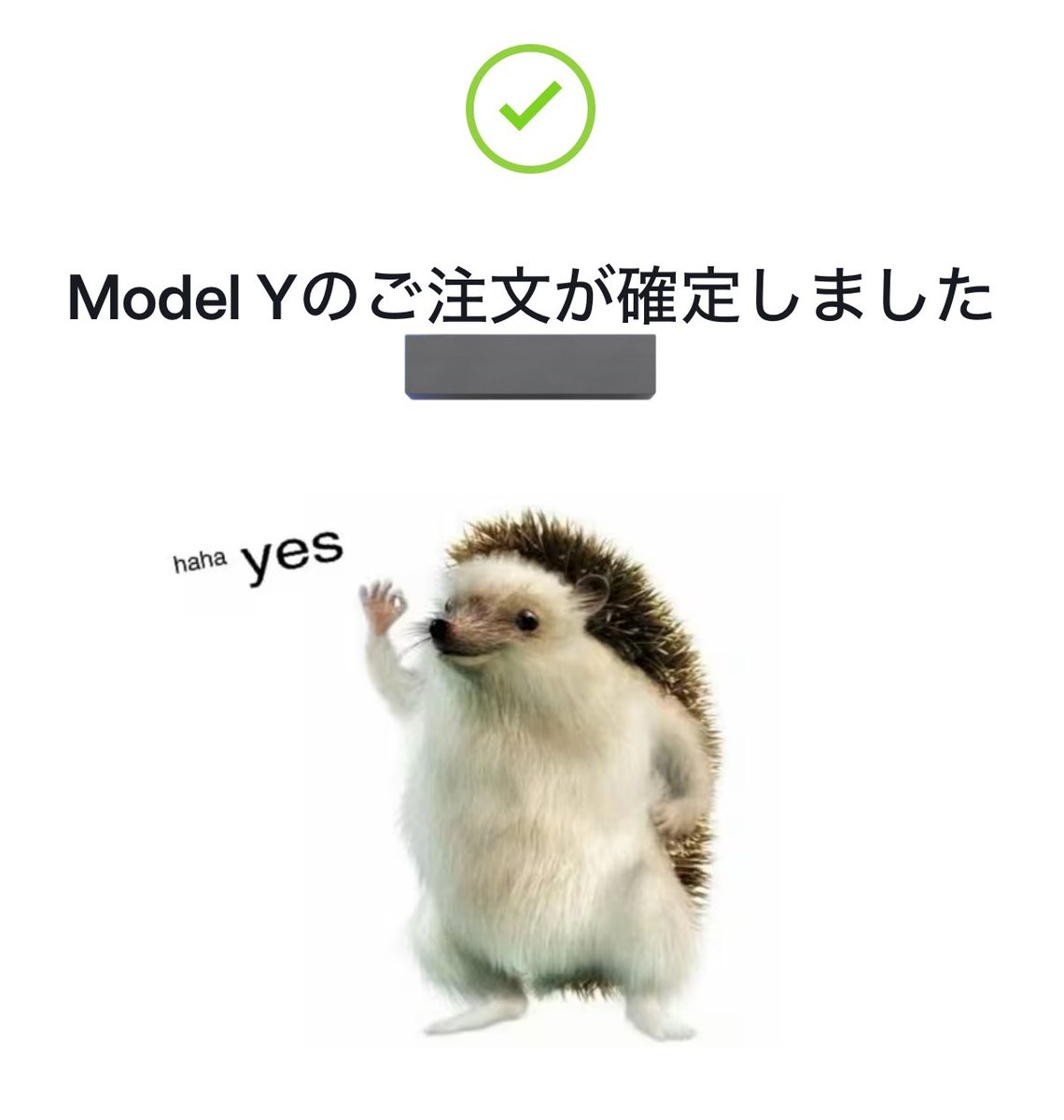 bjorn_tsla's tweet image. 約4年ぶりのハリネズミ🦔
#Tesla #ModelYL #モデルYL