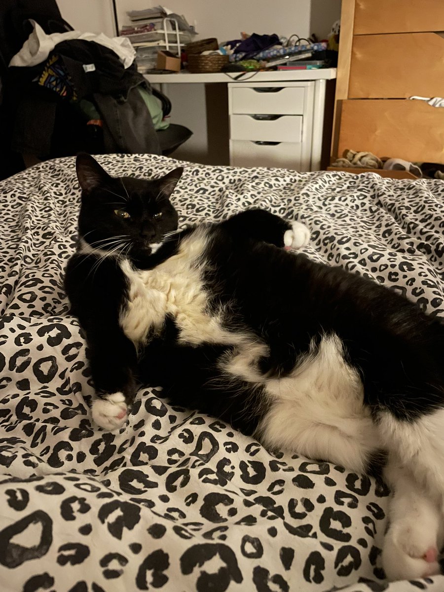 scarlett!! tweet media