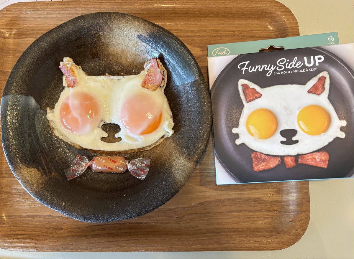 ガルシア安藤真美子 tweet media