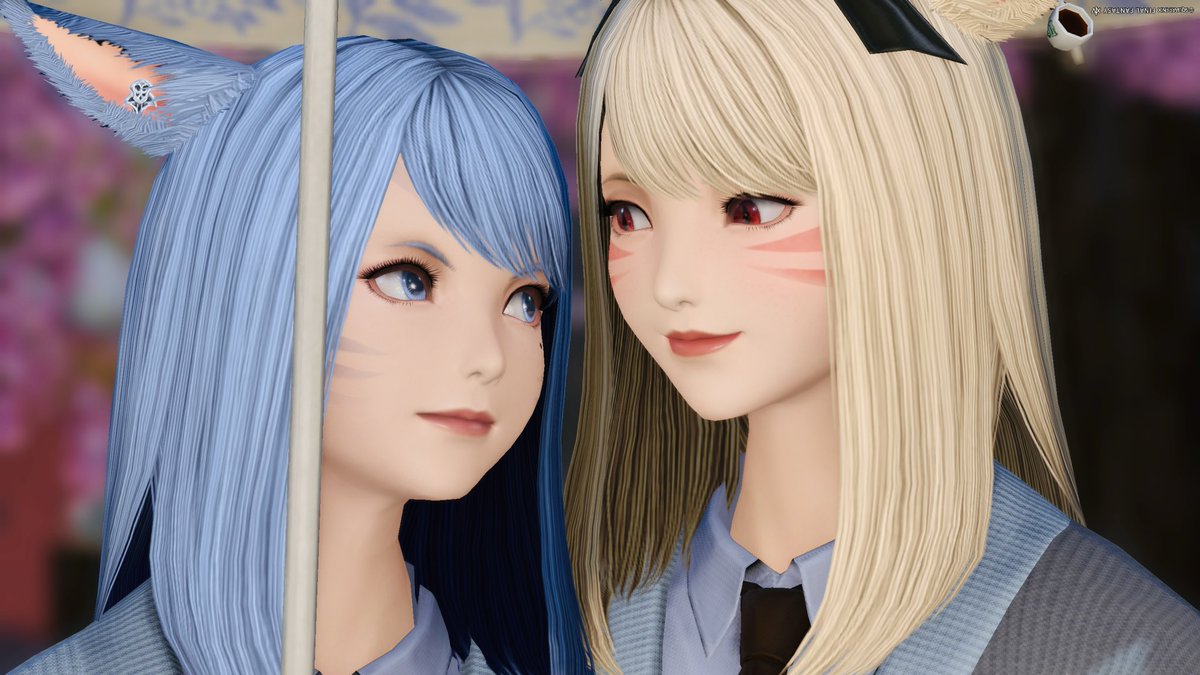 ともも🐈‍⬛🐾 tweet media