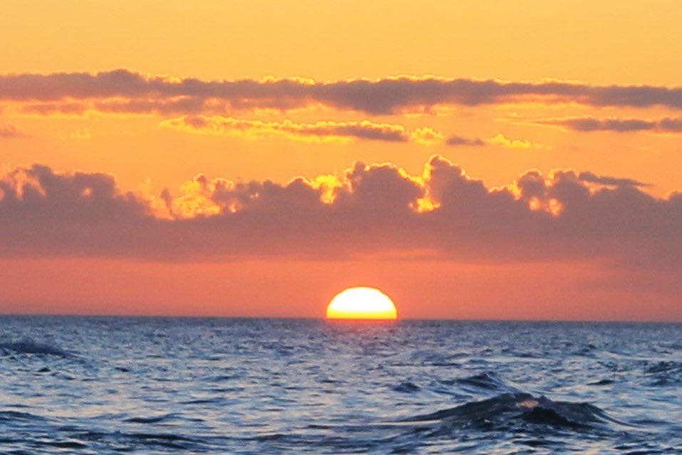 Jim Brown tweet media