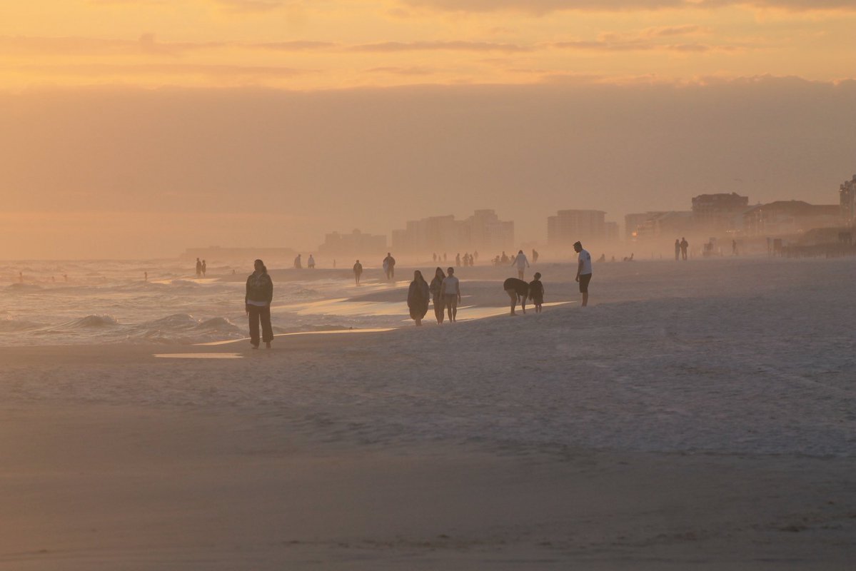 Jim Brown tweet media