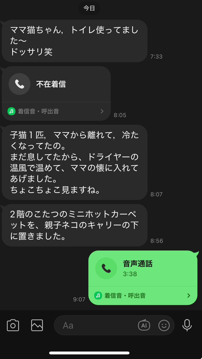 河野陽介🤵‍♂️🌈🐱🐶 tweet media