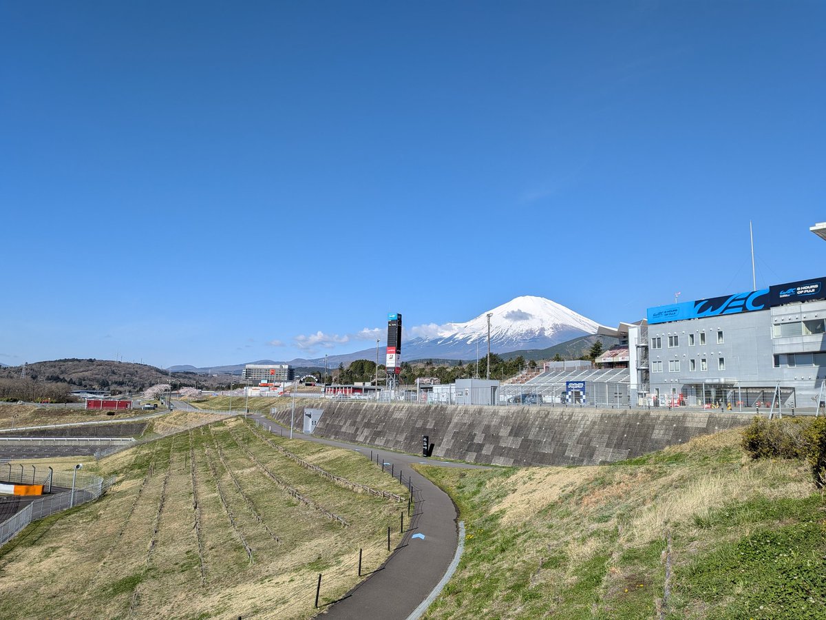 チキンミウラ【公式】 tweet media