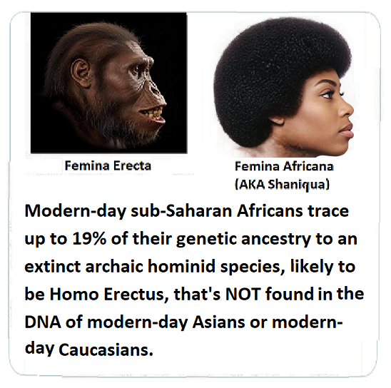 Sujong An tweet media