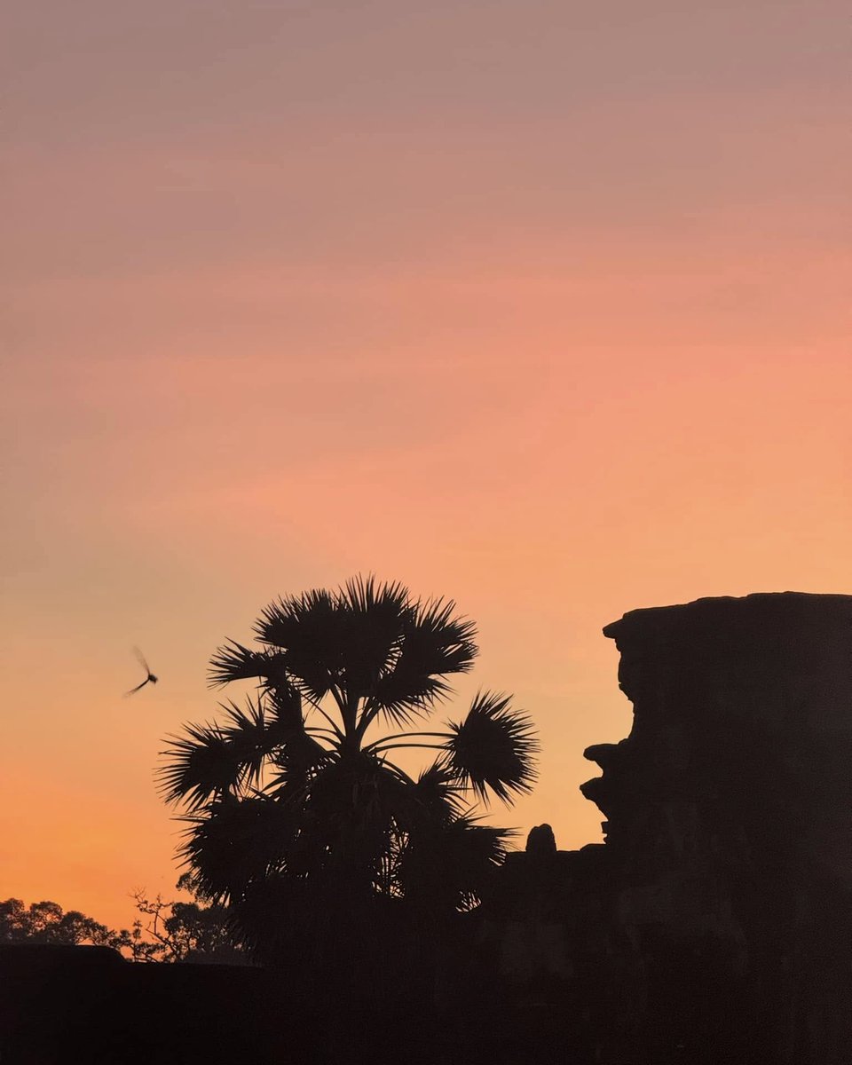 Lotus_Nectar_9's tweet image. I traveled to a beautiful country five years ago to explore the harmony that comes from pure peace. It’s a land where nature thrives and people live with kindness rather than force. It’s exactly the kind of peaceful escape I think you would love to visit #Peaceful #Nature