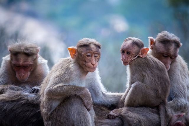 Caroline Lane tweet media