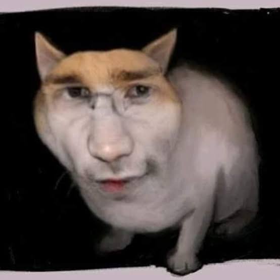 Apholius16371's tweet photo. @Ruffertr0Samfl1 Mi lord cavifax https://t.co/gTQGky6l8o