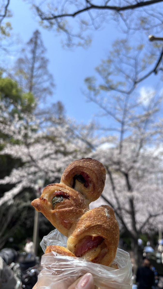 おはようございます！
今朝の大阪は15℃、晴れです☀️

きのうはPANENAさんの美味しいパンで、靱公園でお花見ランチしました🌸
満開でにぎわってました😊

今日も1日がんばりましょう✨