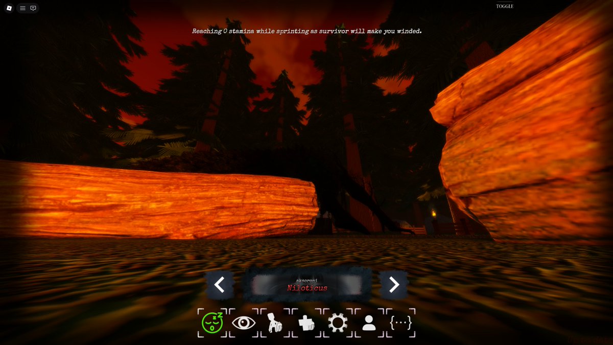 aielg 🦐 tweet media