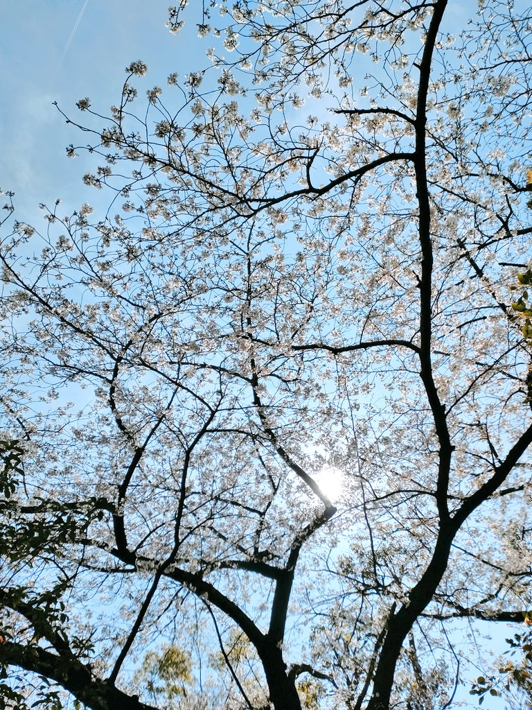 🅗🅘🅡🅞🦁🟠 tweet media