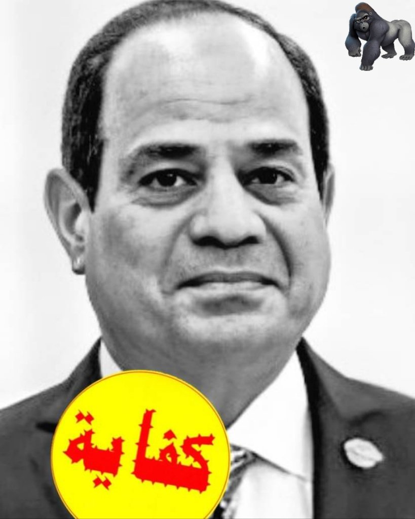 🌹Rogina🇪🇬 tweet media