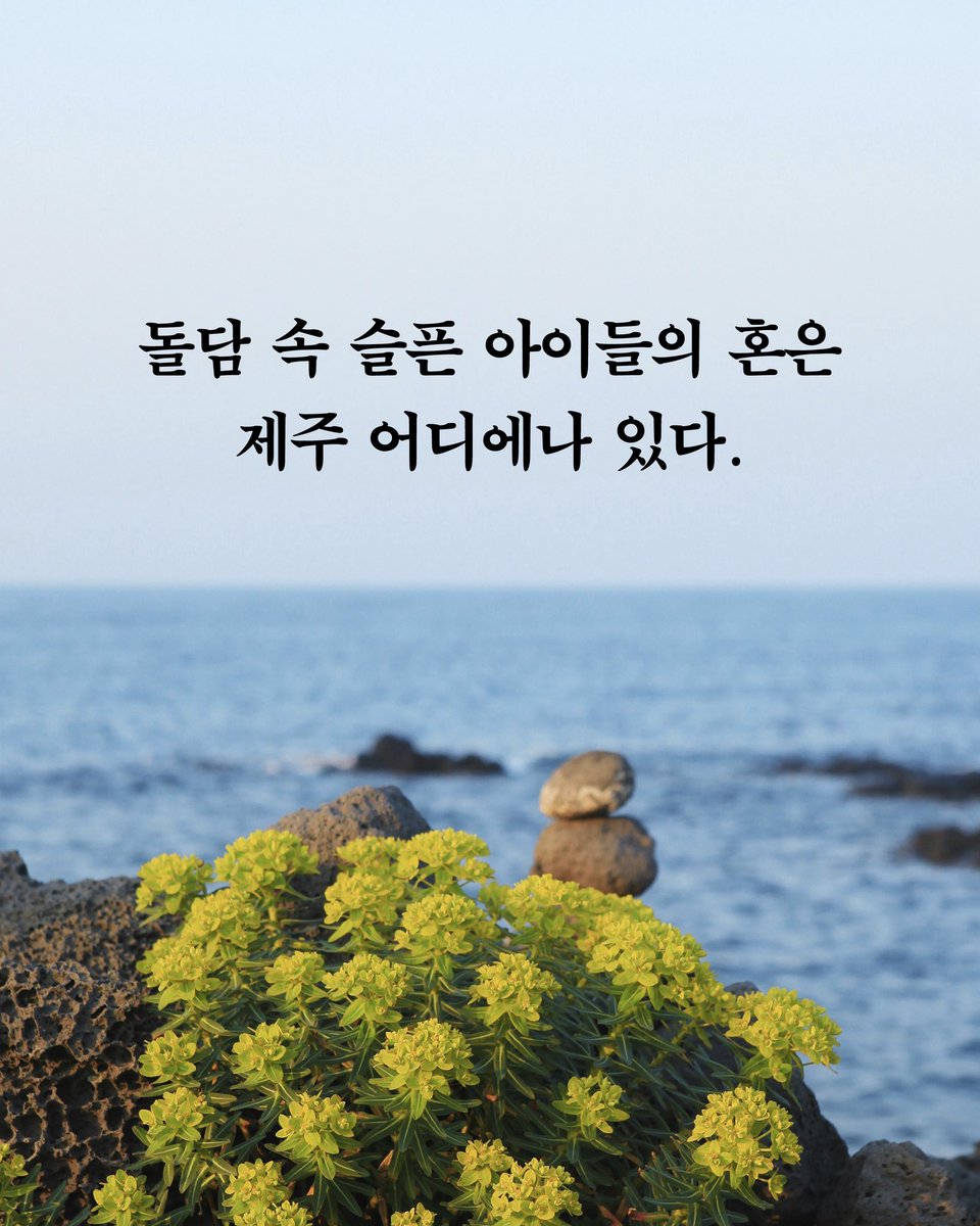 현대문학 tweet media