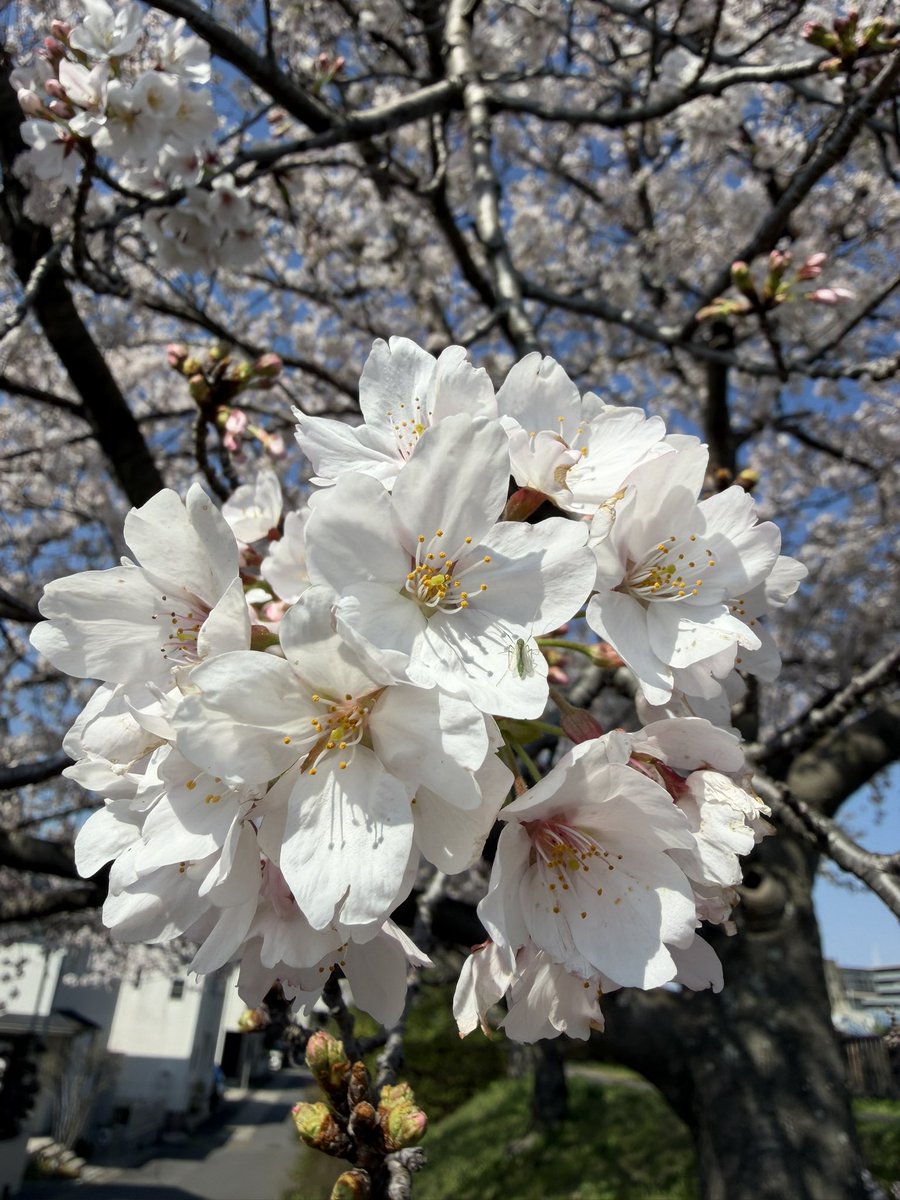 mon241614's tweet photo. https://t.co/Av0uX7zdKo