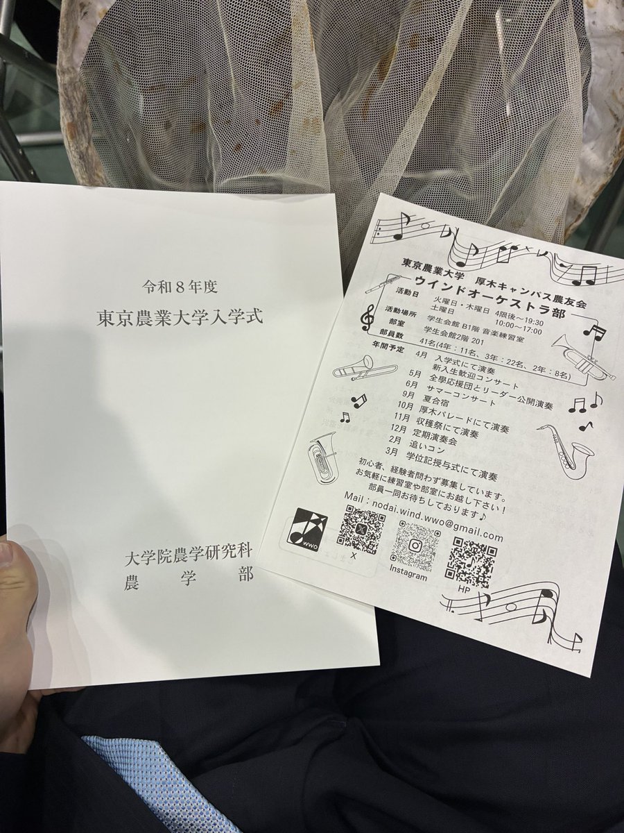 ツノゼミ tweet media