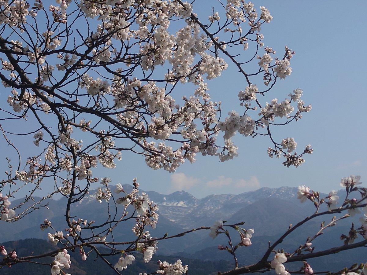 だるくくすべる。 tweet media