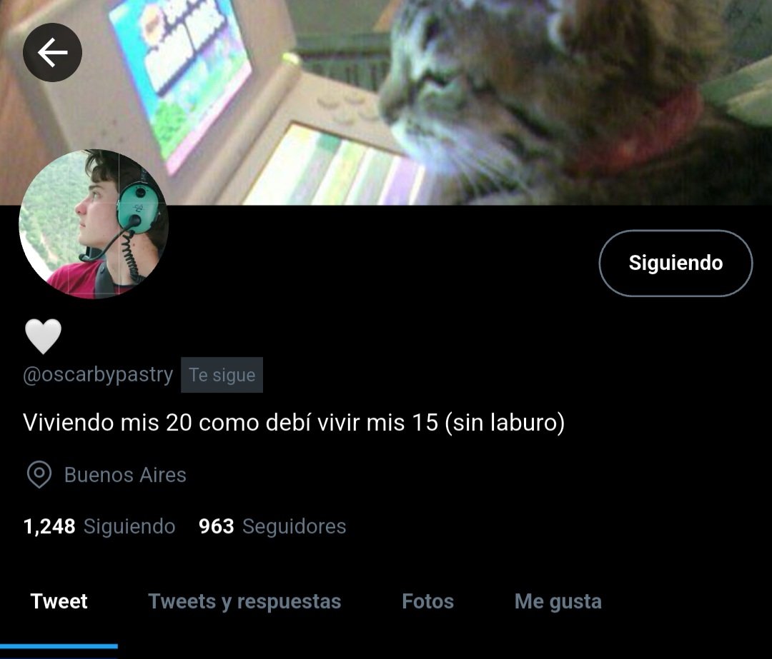 bastard (lov +110) tweet media