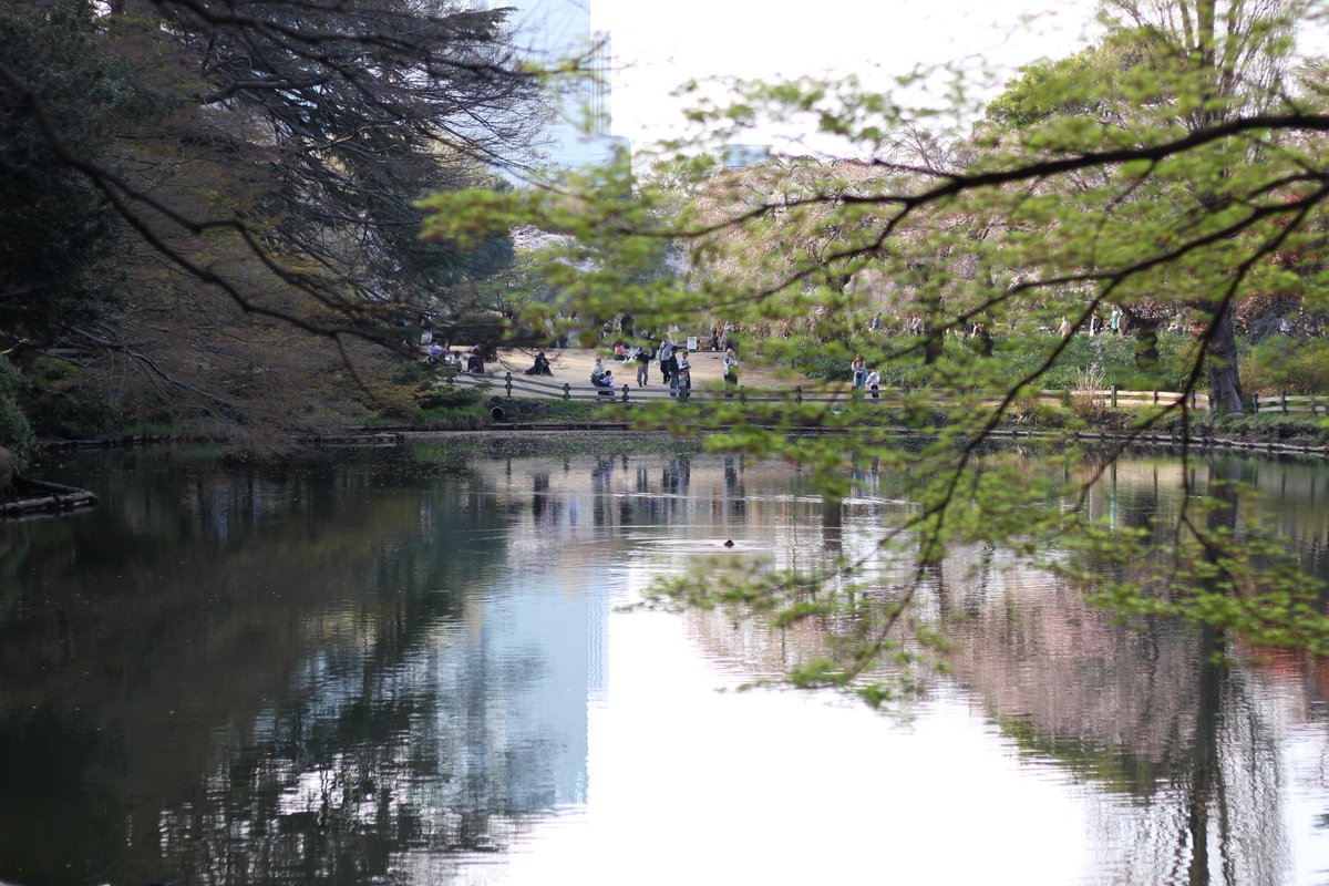 しょう丨HSPコミュニティ「ひだまり」主宰 tweet media