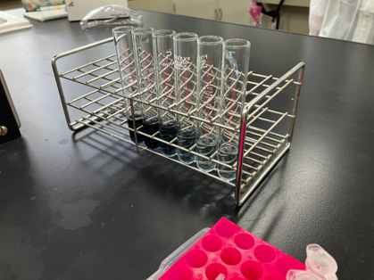 福井県立大学生物資源学部生物資源学科 tweet media