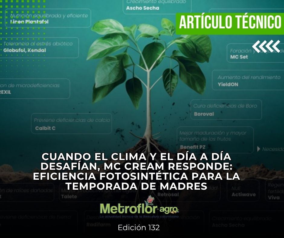 Revista Metroflor-agro tweet media