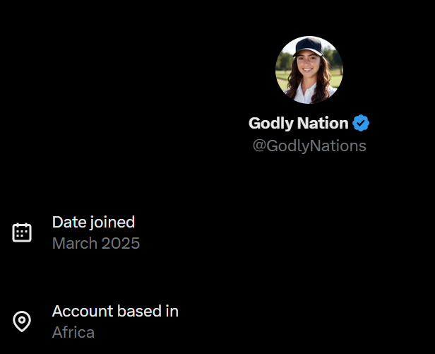 Vote! Baseball & Apple Pie tweet media