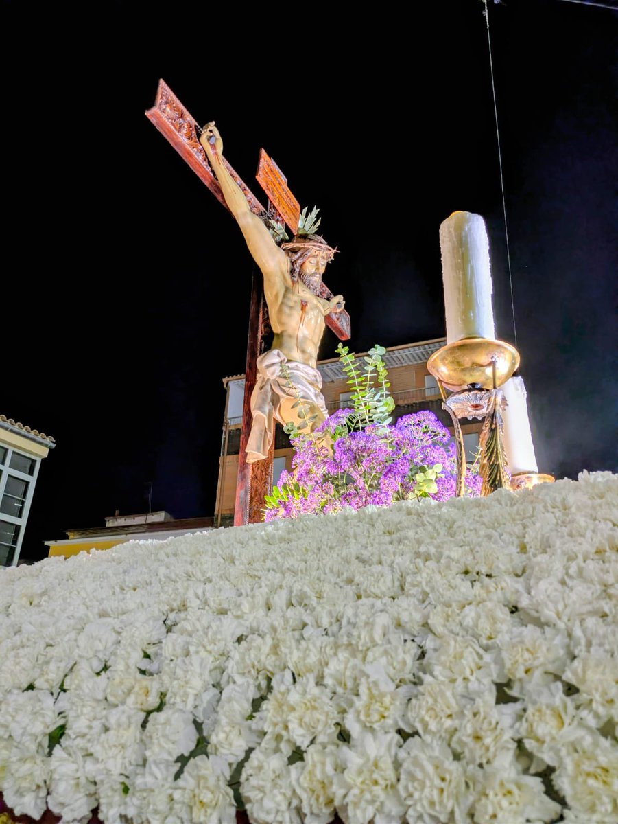 KOI MURCIANO tweet media