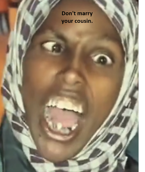 Sujong An tweet media