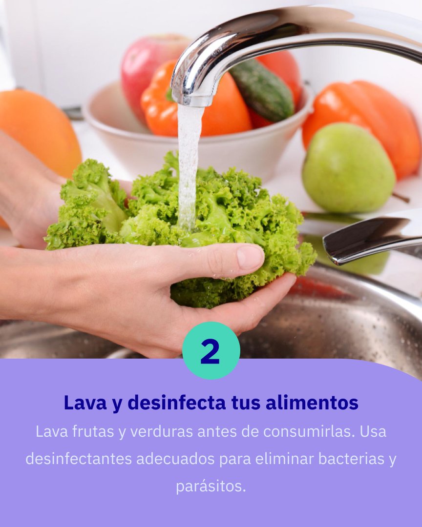 expedienteDAR's tweet image. Te damos 3 tips para prevenir una intoxicación alimentaria. 🍗

#Tips #saludybienestar
