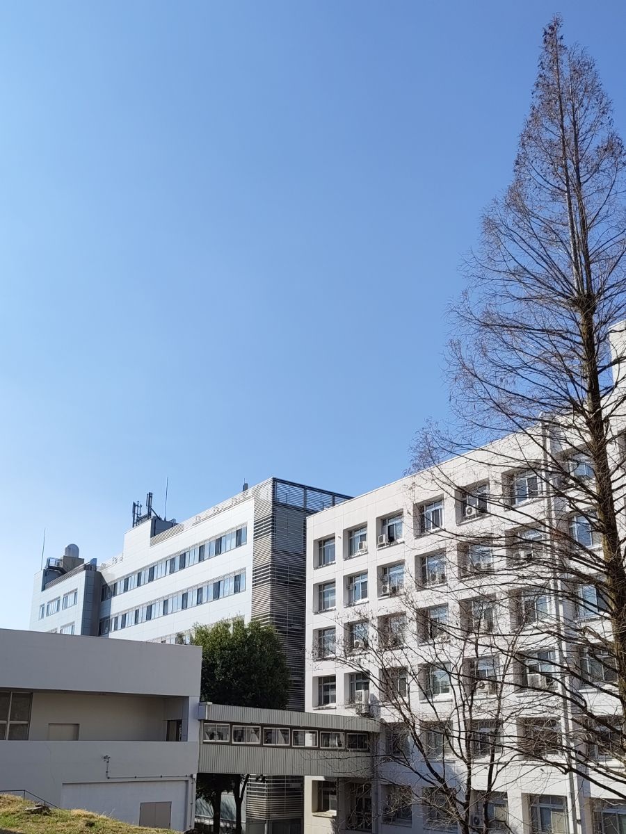 福島大学共生システム理工学類 tweet media