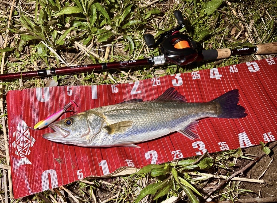 鈴木貴文@魚男 tweet media