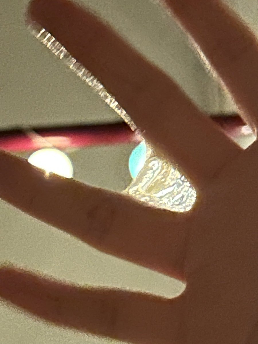 𝔼𝕟𝕒🐷 tweet media