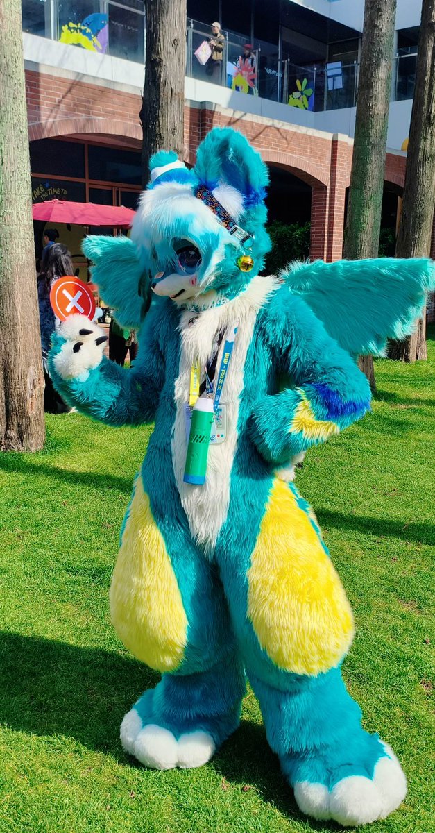 碧影Zeagle🔜南京 tweet media