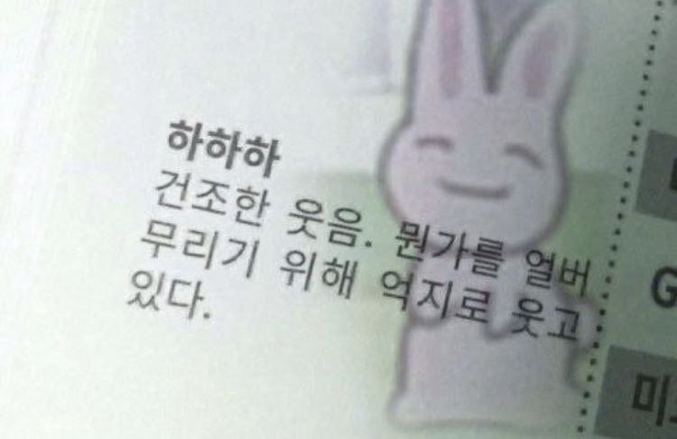 seroah 세로아 tweet media