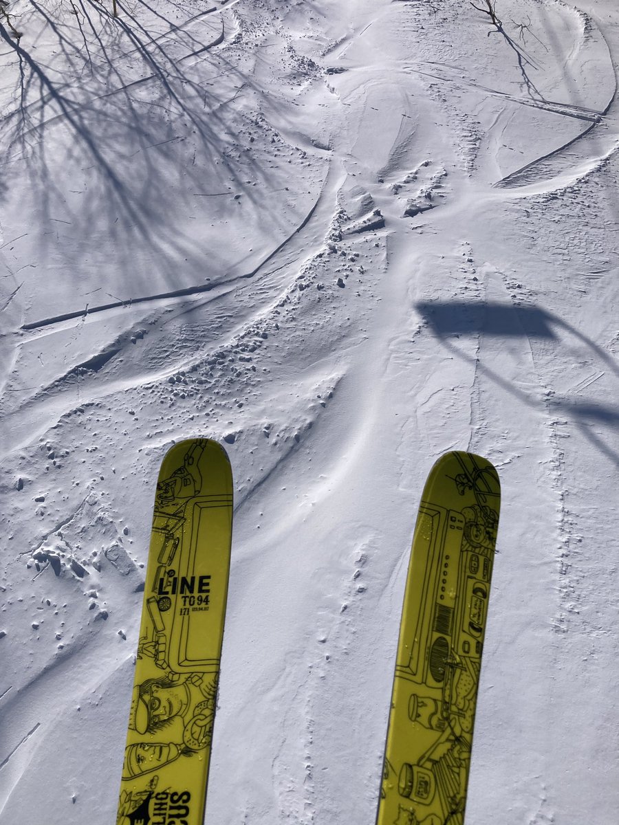 タスキー@長野移住しますた tweet media