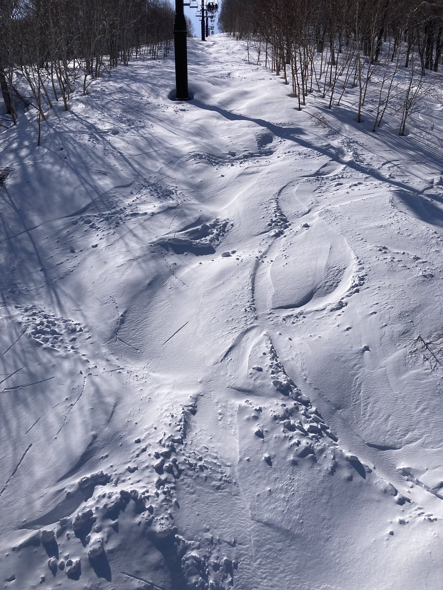 タスキー@長野移住しますた tweet media