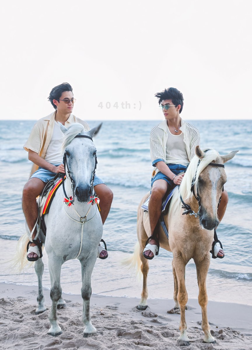 404th 🐻🐧 tweet media