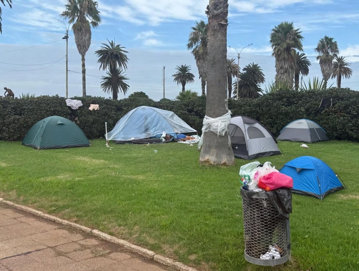 Cr. Magoya tweet media