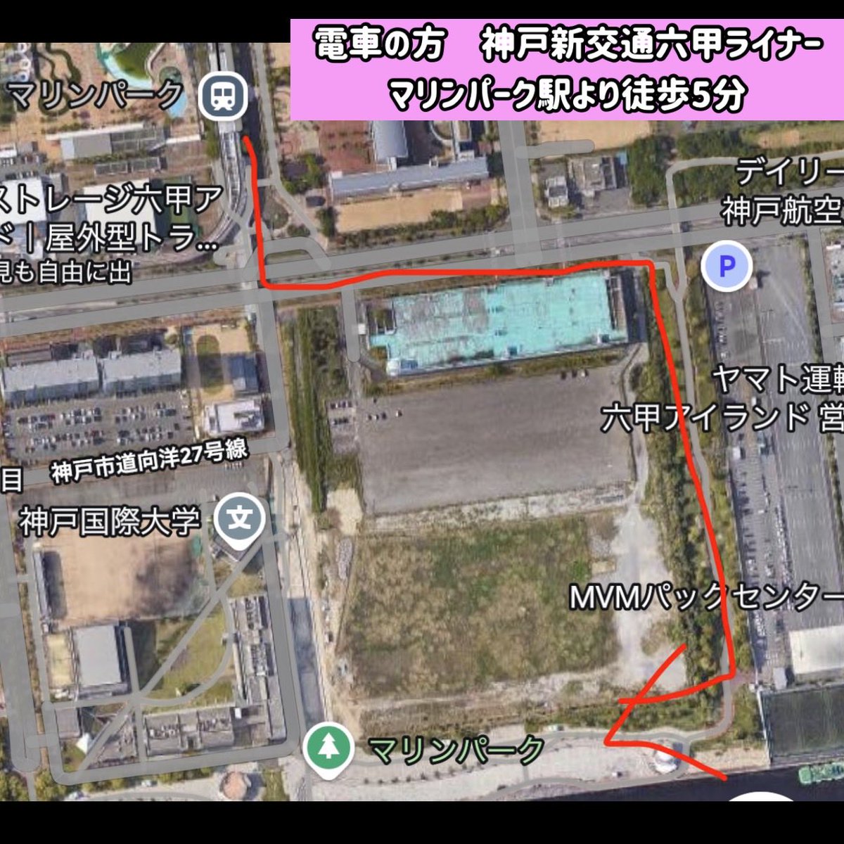 バチ抜けチャンネル(釣りガール) tweet media