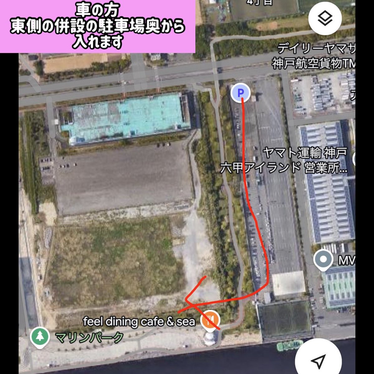 バチ抜けチャンネル(釣りガール) tweet media